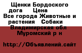 Щенки Бордоского дога.  › Цена ­ 30 000 - Все города Животные и растения » Собаки   . Владимирская обл.,Муромский р-н